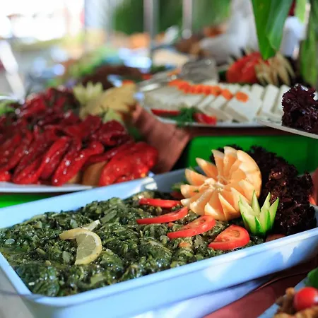 Hotel Club Akman Camyuva
